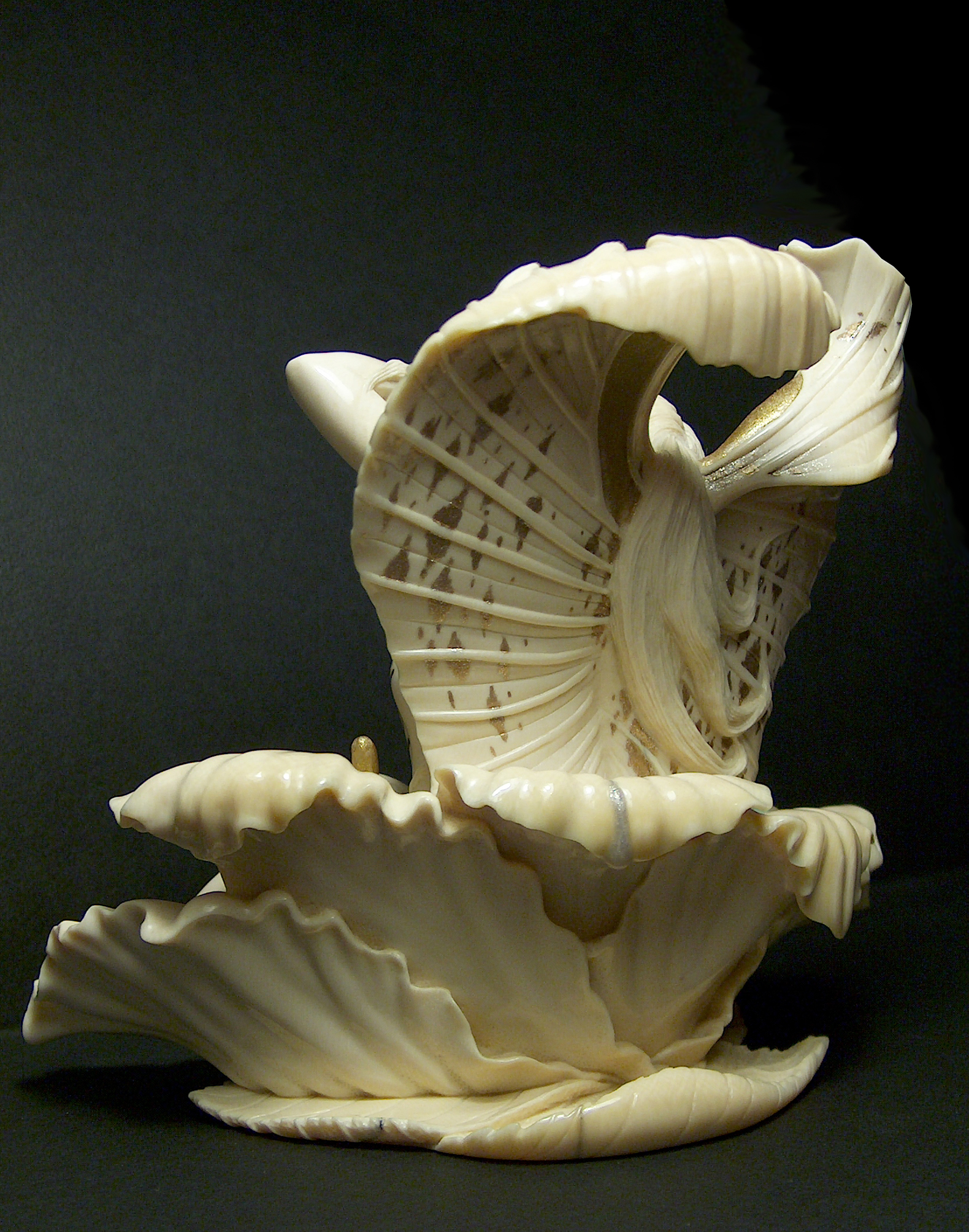 Morning on a flower008